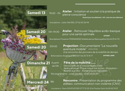 Atelier : Retrouver l'équilibre acido-basique pour une santé optimale