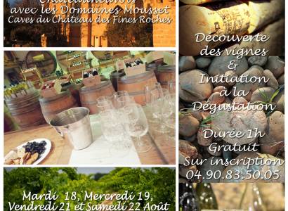 Découverte des vignes et dégustation commentée aux Domaines Mousset