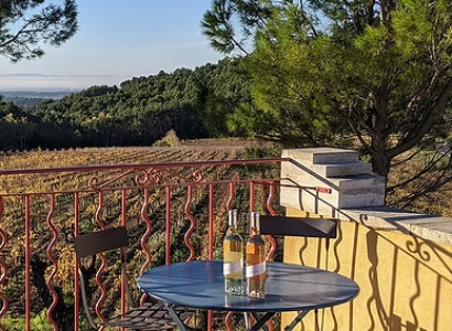 Pique-nique en plein air au Clos de Caveau
