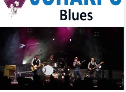 Piano dans les vignes : Concert Joharpo - Blues