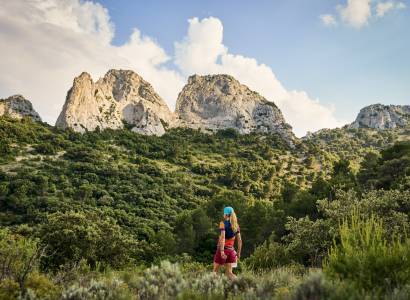 Vignobles en Scène : Run & Wine des Dentelles