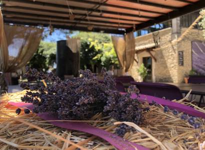 Peace, Love and Lavender au Musée de la Lavande
