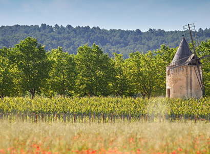 SUNSET SESSION AU CŒUR DU LUBERON au  Château de Sannes