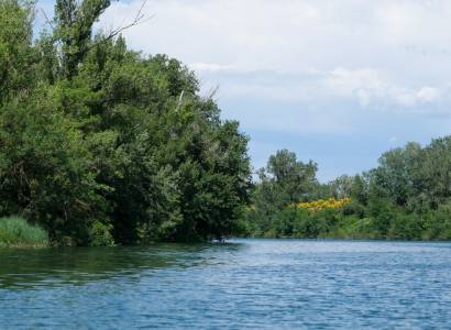 Découverte de l’île de la Barthelasse