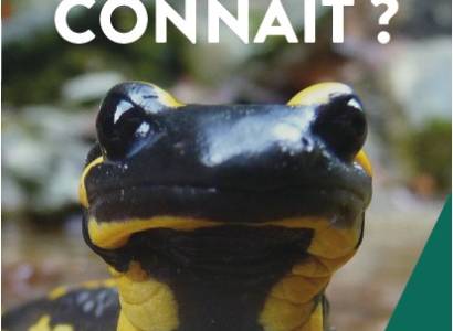 Rendez-vous Nature : Récolte de raisin de table à la Ferme du Bourguet