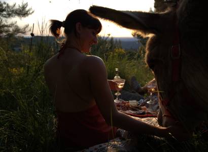 Venasqu'Ânes : randonnée à dos d’ânes au clair de lune