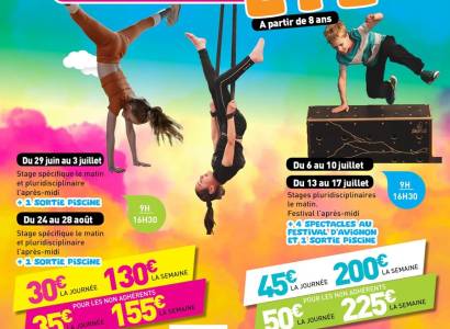 Stages été de l'ANT