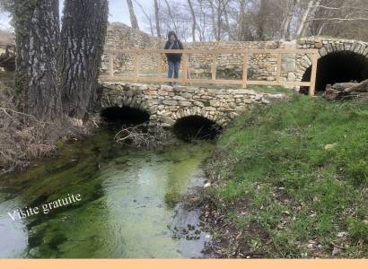 Rendez-vous Nature : Le moulin Virgile, de l'ombre à la lumière