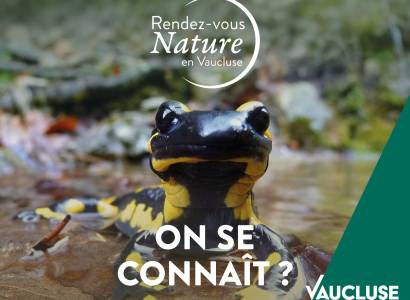 Rendez-vous Nature : Des contes, des oliviers et des bories.