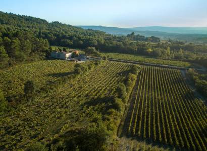 Château Saint Pons