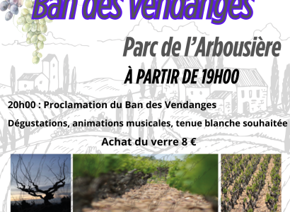 Ban des Vendanges 2026