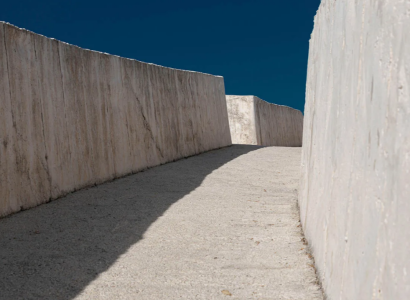Exposition «Metamorphosis»