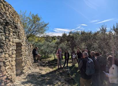 Festival Ventoux Saveurs : Balade contée entre oliviers et pierres sèches