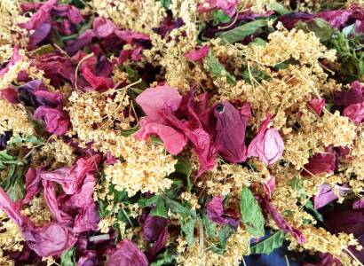 Festival Ventoux Saveurs : La lavande sur le bout de la langue