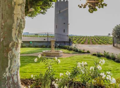 Vivez une dégustation au cœur du terroir au Domaine Tour Saint Michel