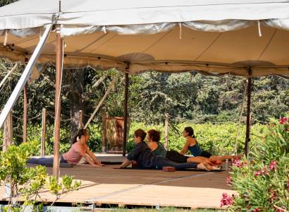 Vignobles en Scène : Yoga & pique nique dans les vignes