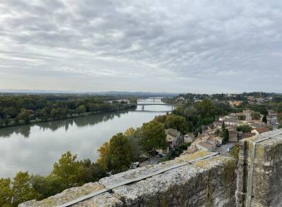 Visite guidée : l'Histoire et le Rhône - Festival «Dans les bras du Rhône»