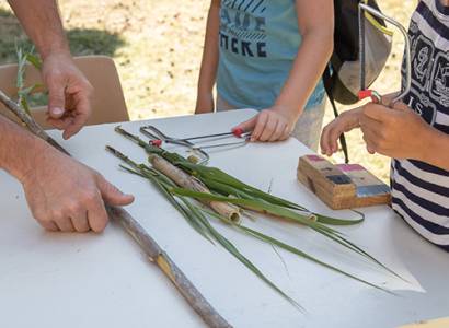 Atelier créatif : observation des petites bêtes étranges des jardins
