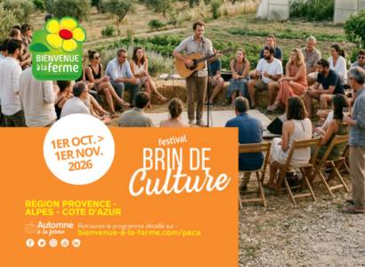 Concert aux Ouailles du Luberon - Festival Brin de Culture
