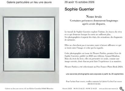 La galerie un lieu une œuvre expose - Sophie Guerrier