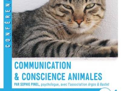 Conférence : Communication et conscience animales