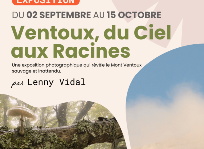 Exposition Ventoux, du ciel aux racines par Lenny Vidal