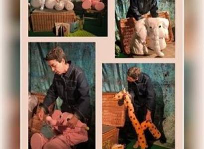 Drame chez les éléphants