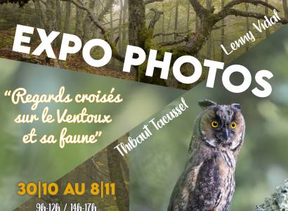 Exposition Photos - Regards croisés sur le Ventoux et sa faune