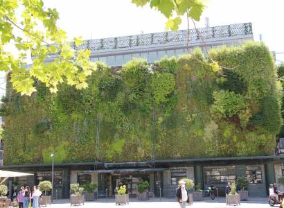 Mois des produits tripiers aux Halles