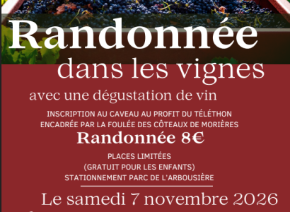 Randonnée dans les vignes