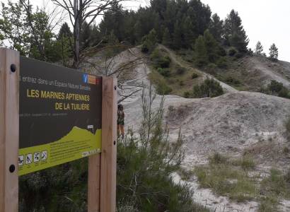 SAINT-SATURNIN-LÈS-APT - Marnes grises de La Tuilière