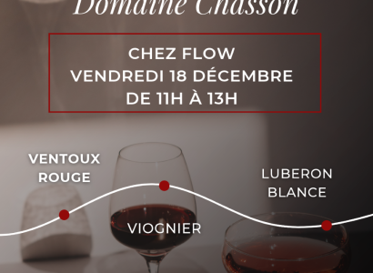 Dégustation de Vin du Domaine Chasson