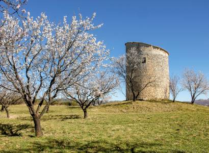 Moulin de Salignan