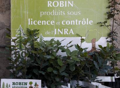 Maison Valayer - Vente de plants truffiers