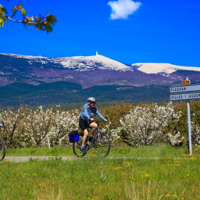 At the foot of the Mont Ventoux - Cycling -