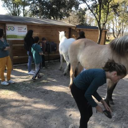 Portes ouvertes au Lucky Horse