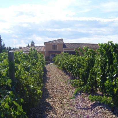 Domaine Les Ondines Wine Estate
