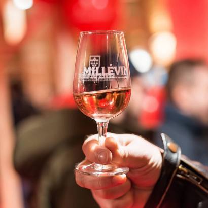 Millévin - Côtes-du-Rhône-Weinfest und neuer Jahrgang