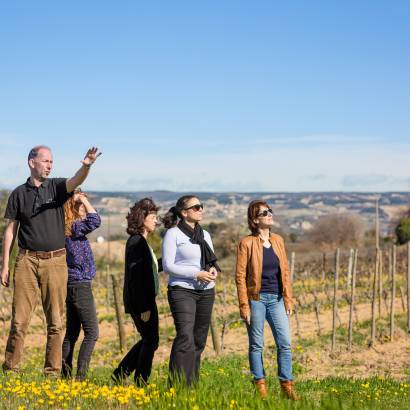 Discovery workshop: visit of the estate and tasting