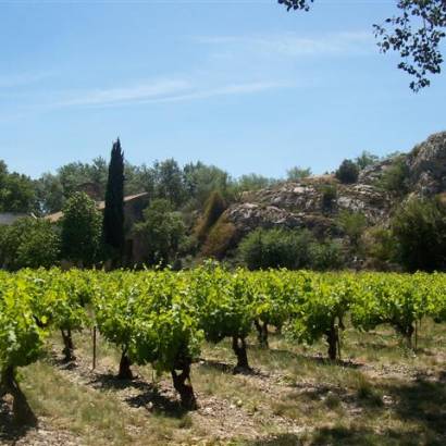 Van het Provençaalse Venetië tot de wijngaard van Châteauneuf du Pape
