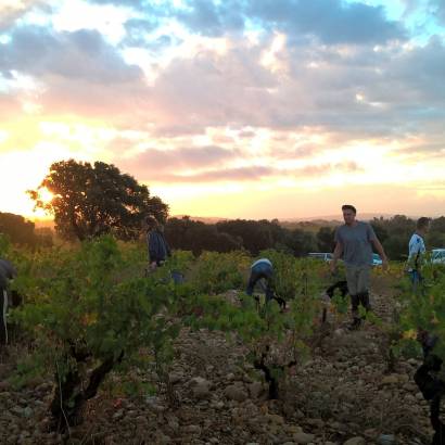 Wine tour and Introduction to biodynamics at Domaine Duseigneur