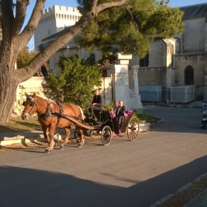 Avignon Calèches