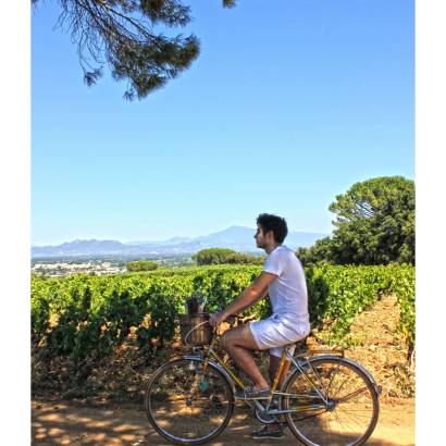 Bike ride into the vineyards of Châteauneuf-du-Pape