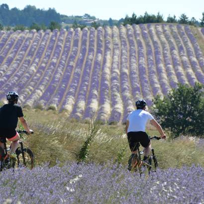 Mountainbikeroute -  Land van de lavendel -  N° 8