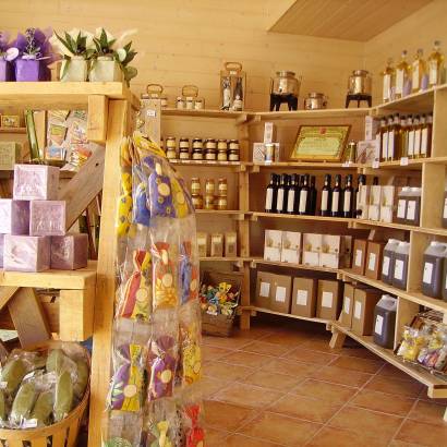 Le Trésor des Oliviers oil mill / Pied Faucon winery