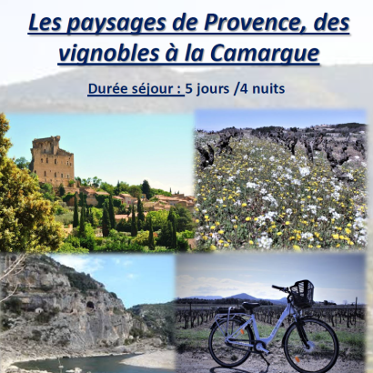 Les paysages de Provence, des vignobles à la Camargue