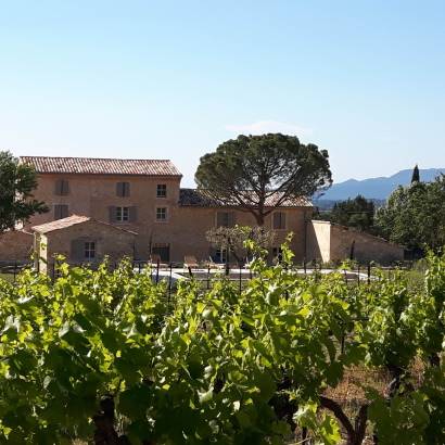 Le Domaine du Chat Blanc