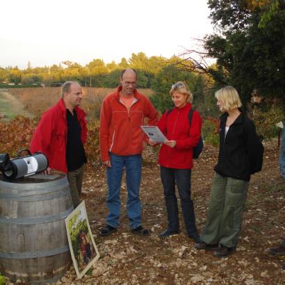 Cellar and vineyard audio tour at Domaine de Marotte