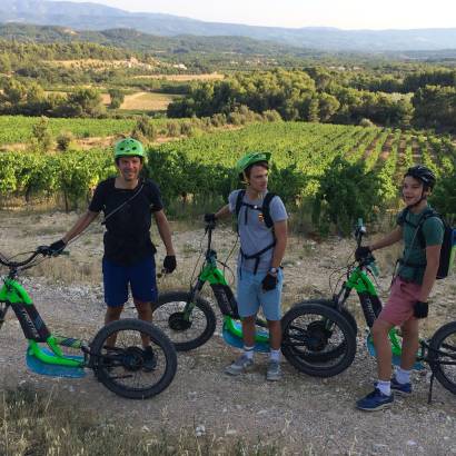 Electric scooter excursion in a vineyard