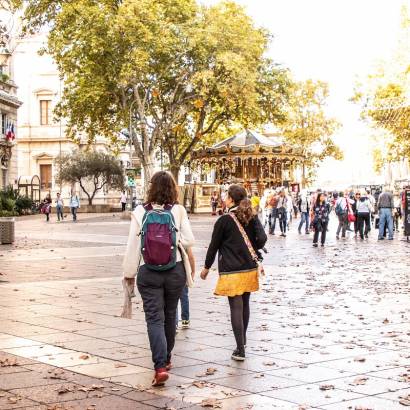 Avignon Best Of - Engelstalige rondleiding door de stad